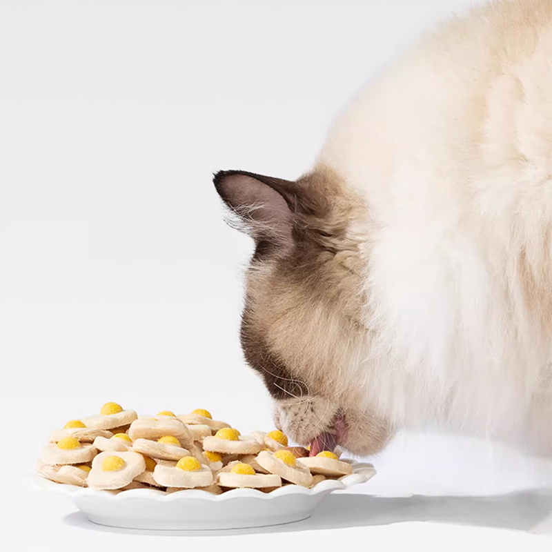 Cat Egg Treats