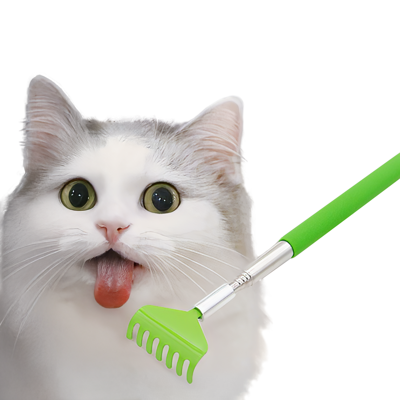 Cat Scratching Tool