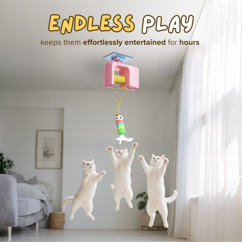 Auto Yo-yo Cat Toy