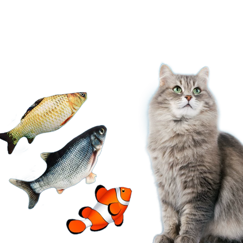 Cat Fish Toy