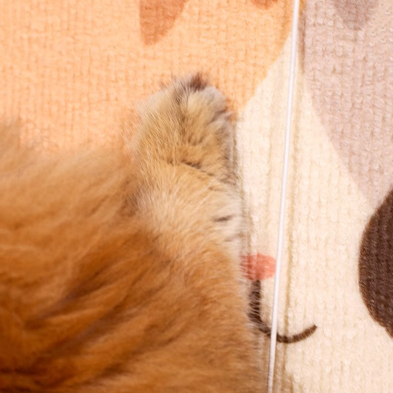 Slim Cat Scratcher