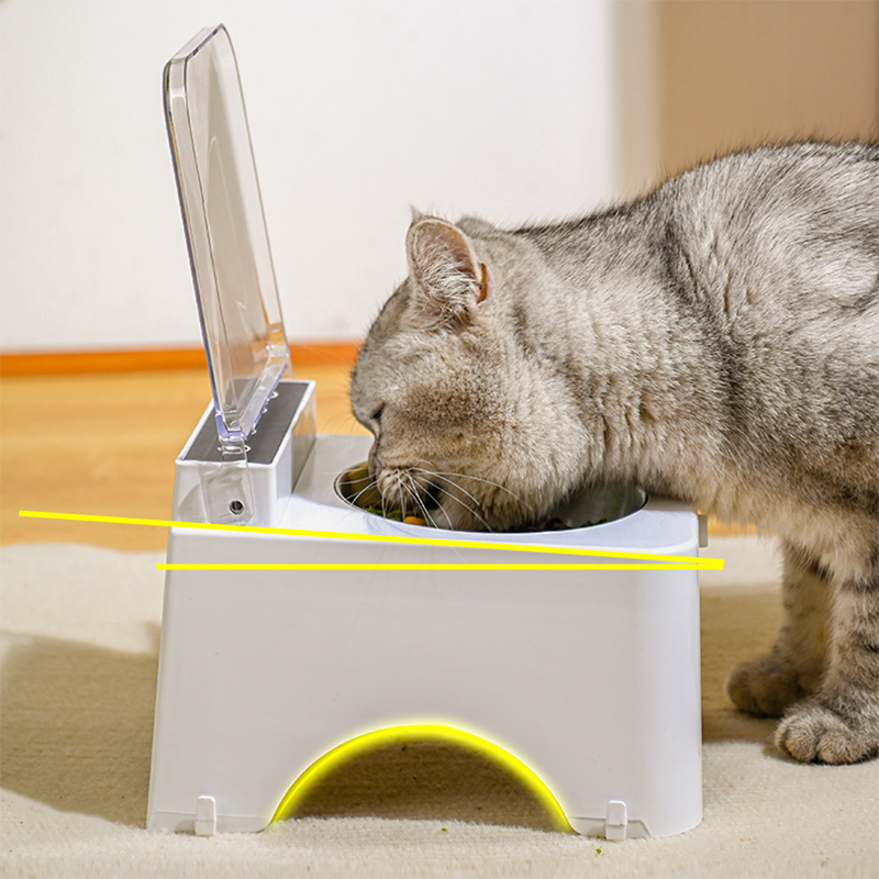 Smart Cat Feeder
