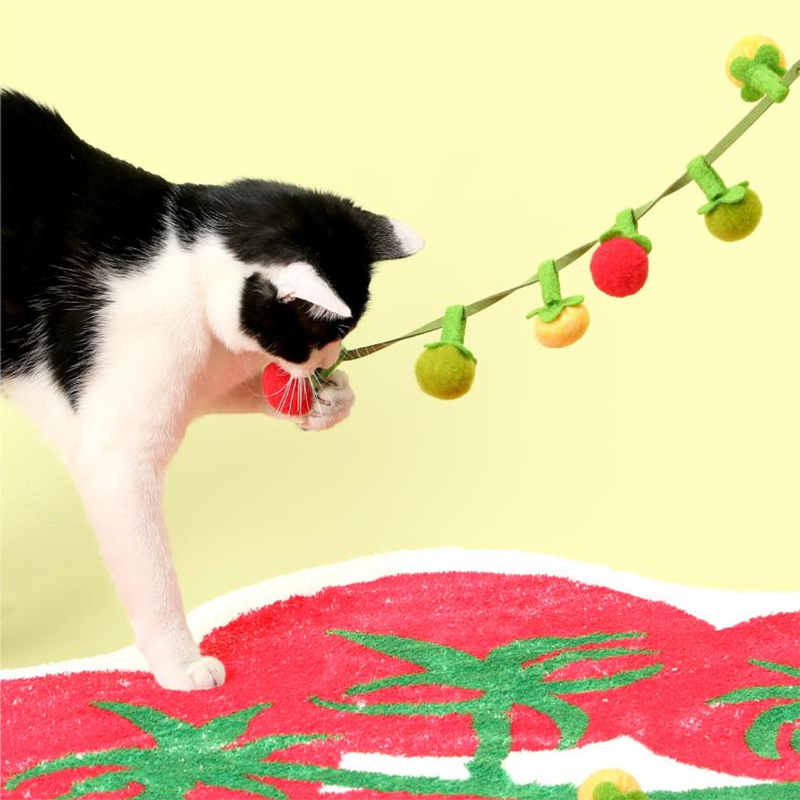 Tomato String Toy