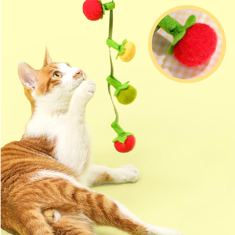 Tomato String Toy
