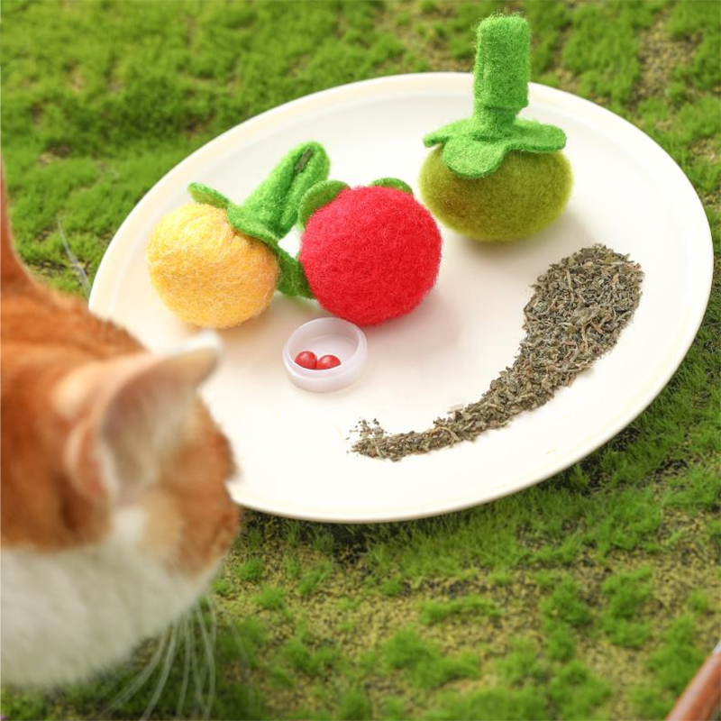 Tomato String Toy