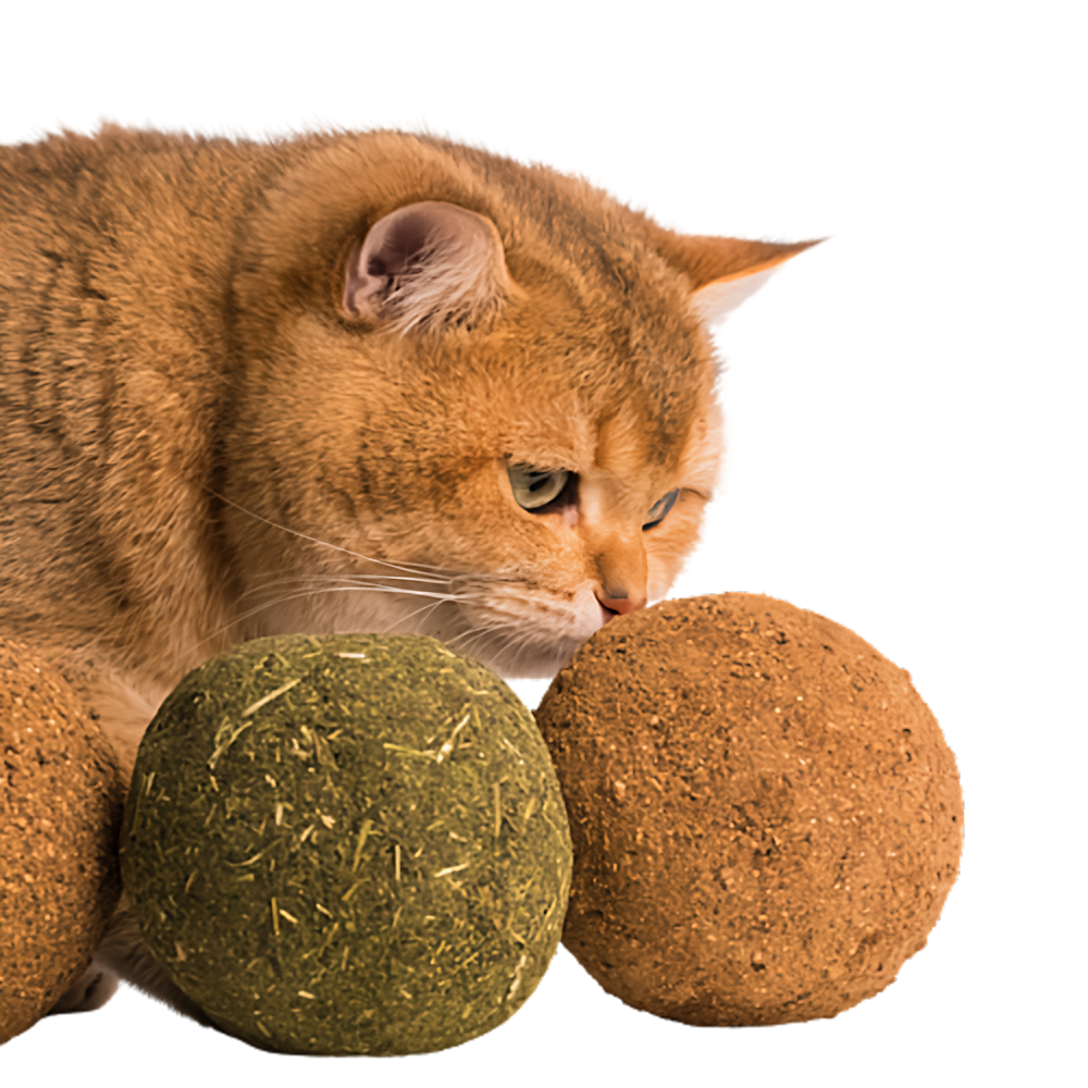 Jumbo Catnip Ball