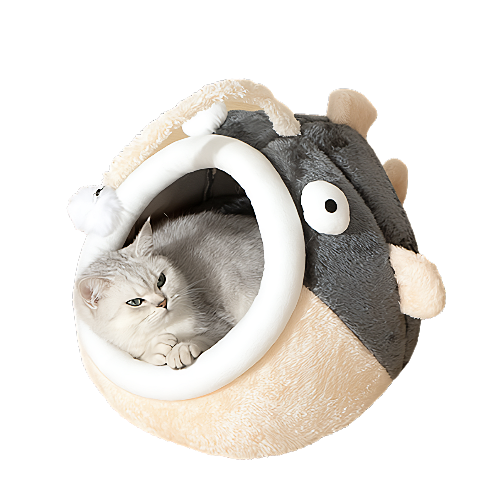 Angler Fish Bed