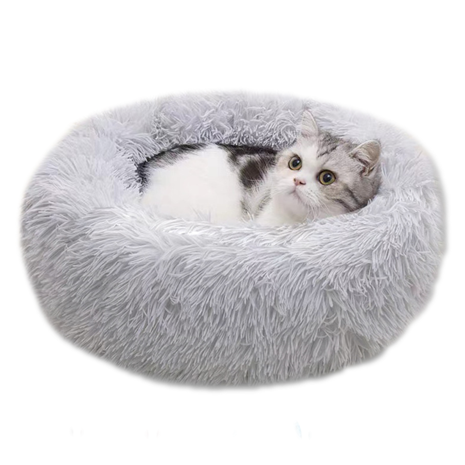 Cat mattress shop