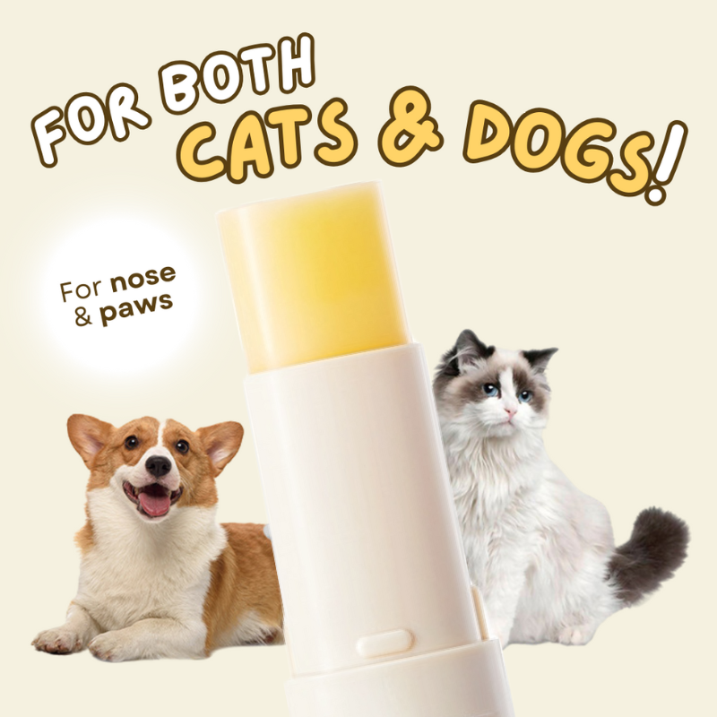 Paw Ointment Stick