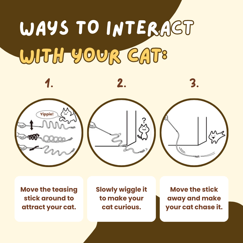 Colorful Ribbon Teaser