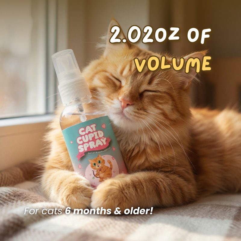 Cat Cupid Spray
