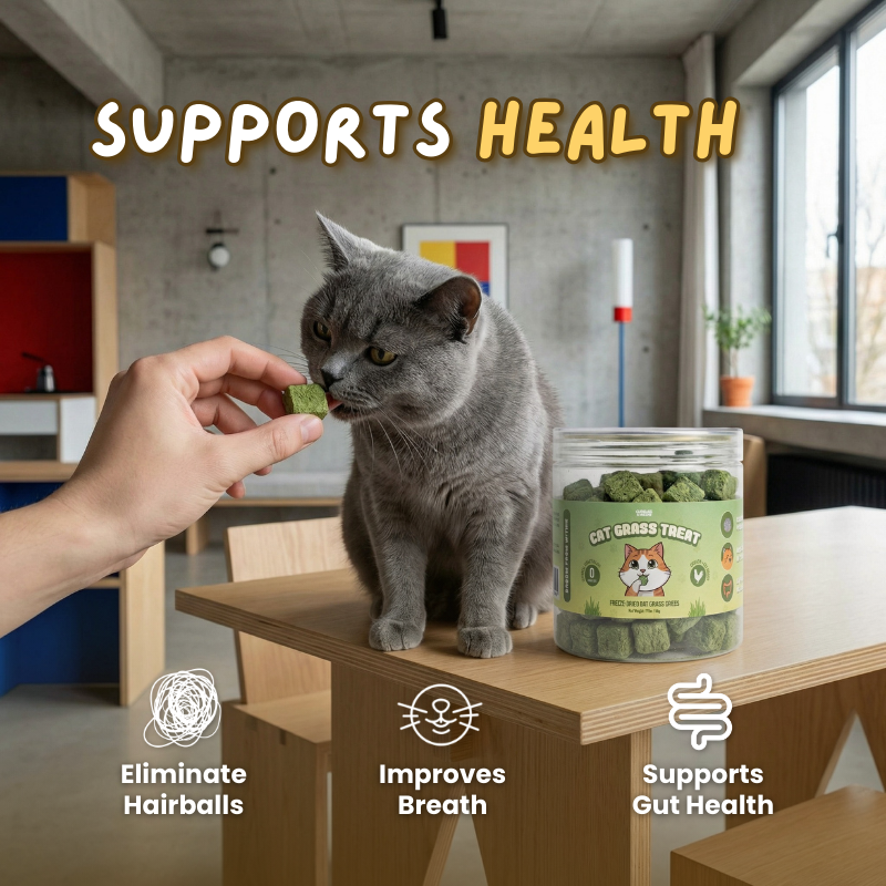 Cat Grass Treat