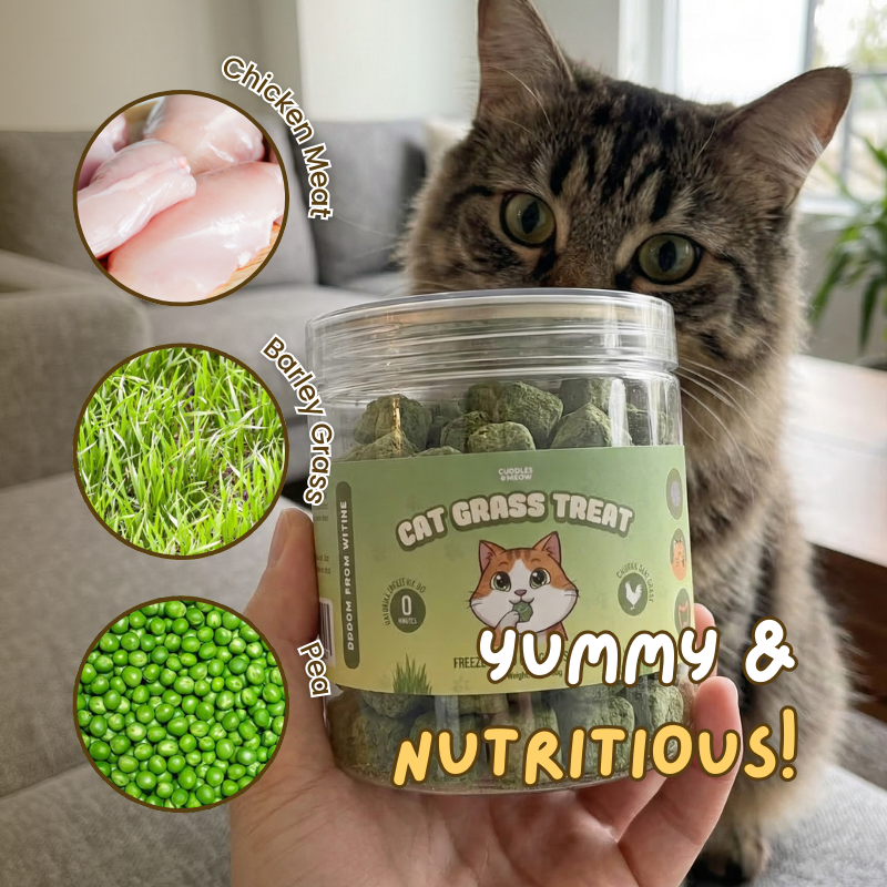 Cat Grass Treat
