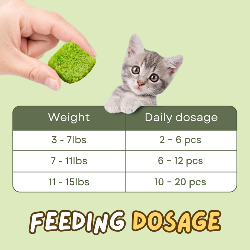 Cat Grass Treat