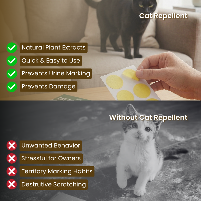 Cat Repellent