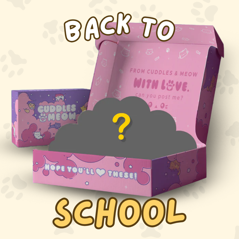 Back to School Bundle