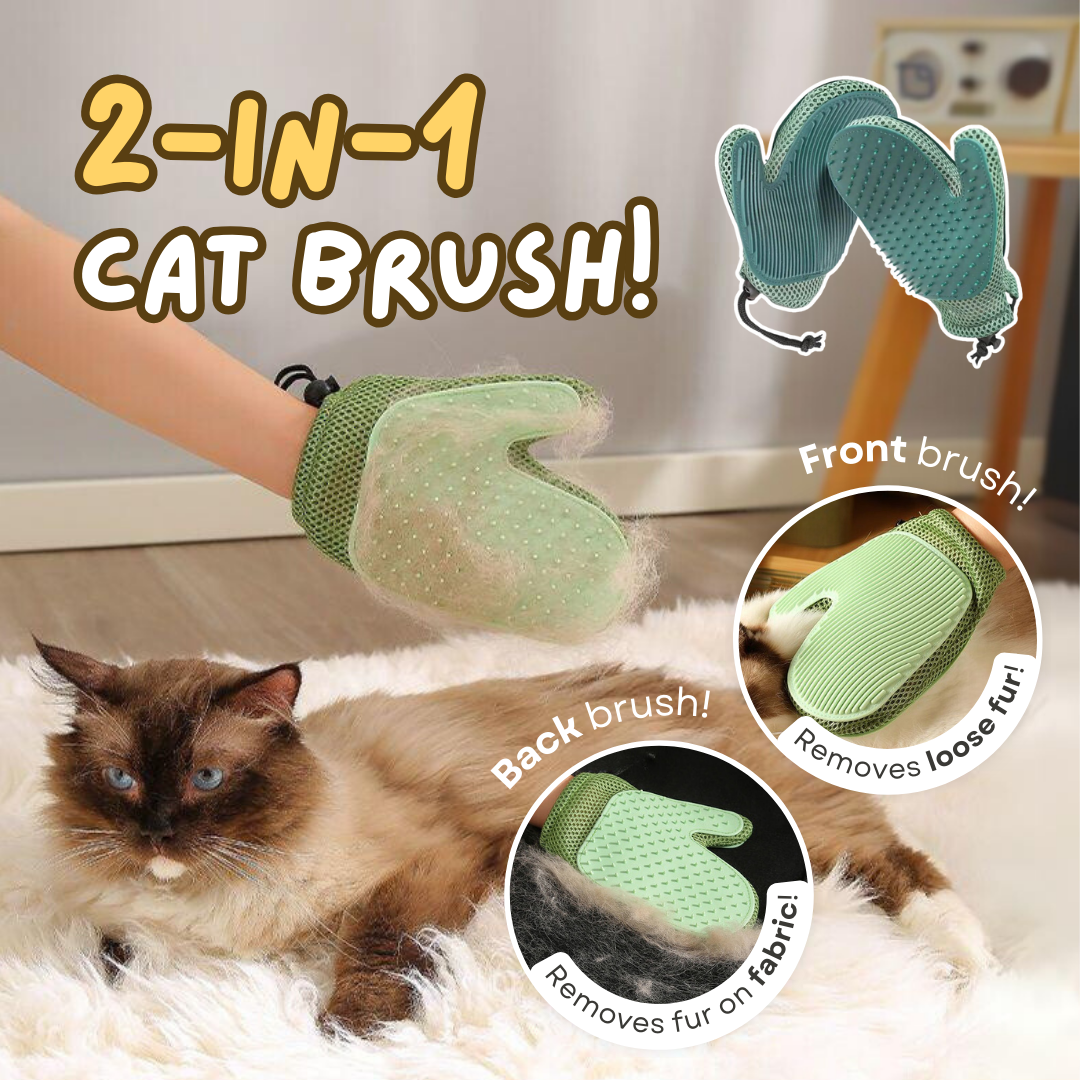 2-in-1 Cat Glove