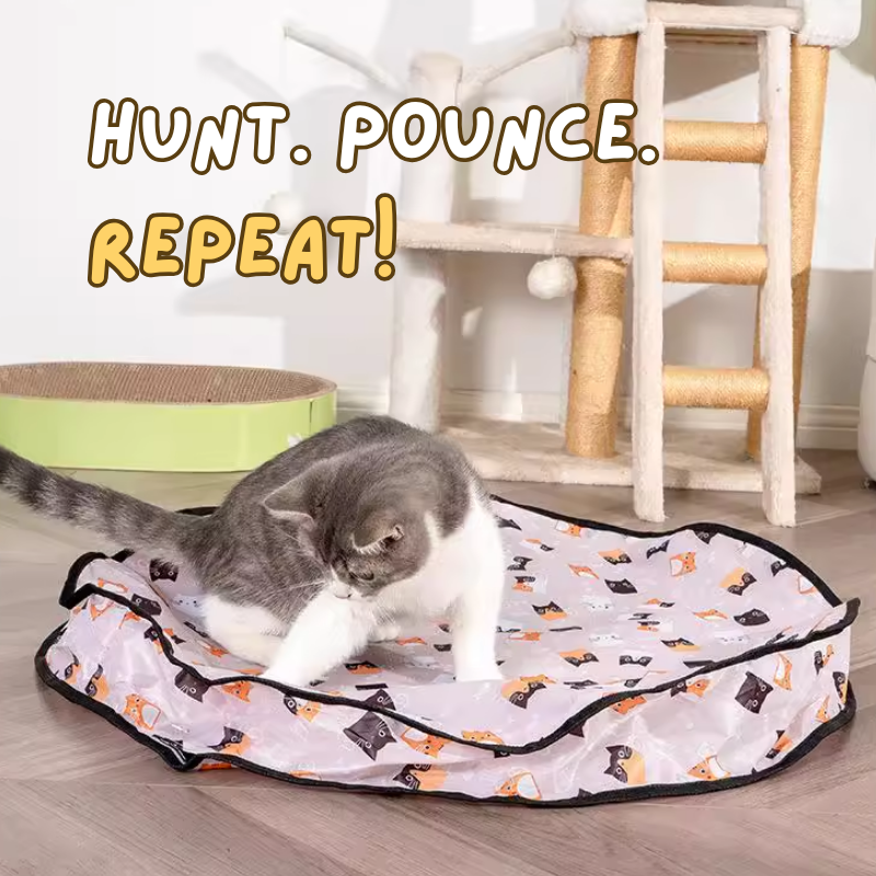 Hide and Seek Toy