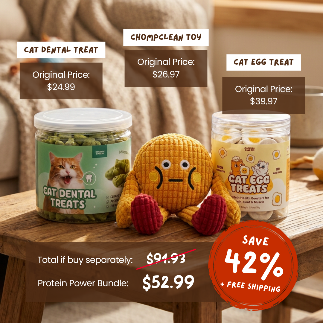 Protein Power Bundle