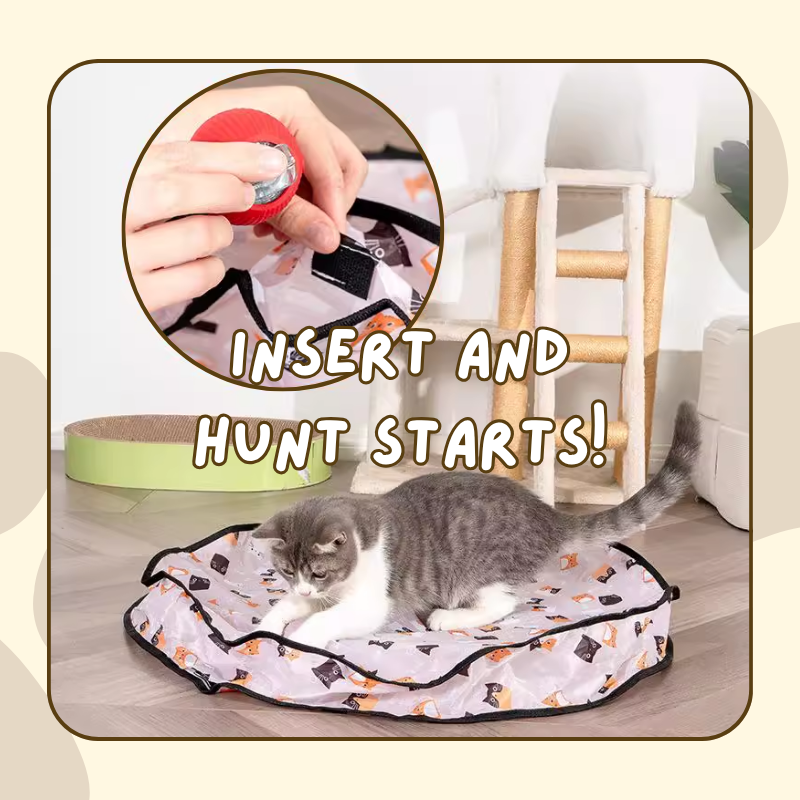 Hide and Seek Toy
