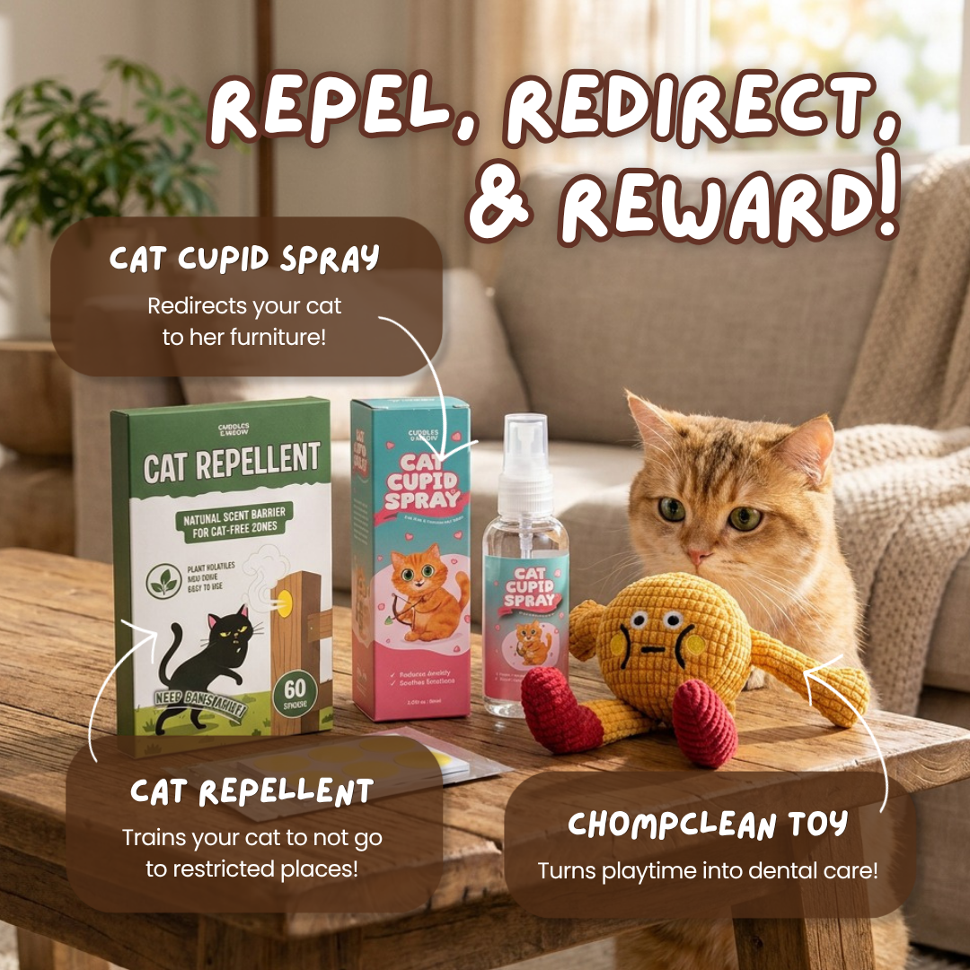 Furniture Saver Bundle
