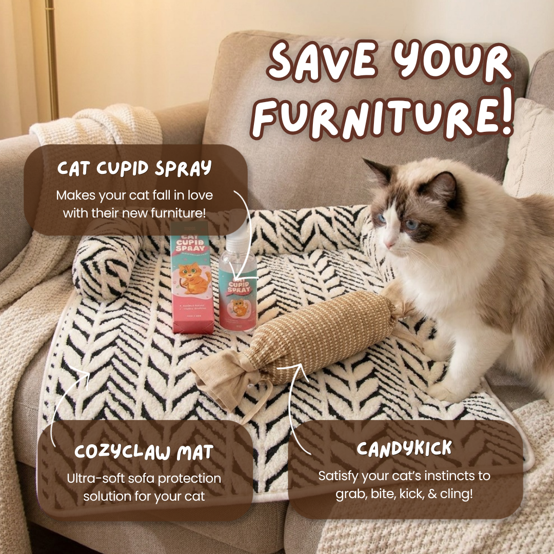 Scratch Happy Bundle