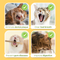 All Natural Teething Toy (3 Pcs)