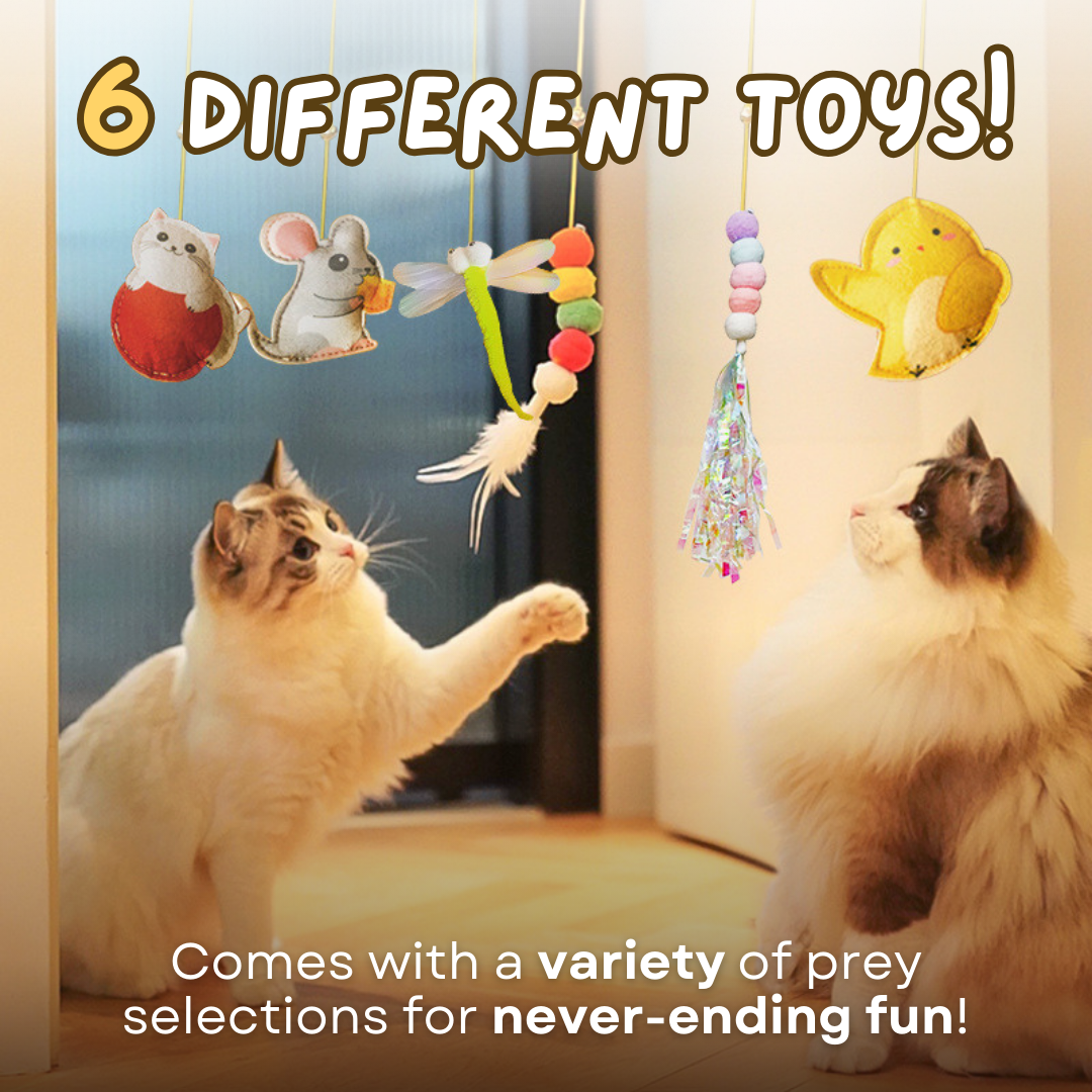 Dangling Cat Toy Set (6 PCS)
