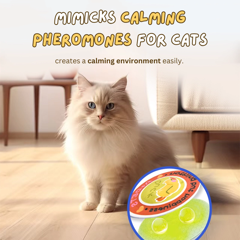 Zen Cat Patch