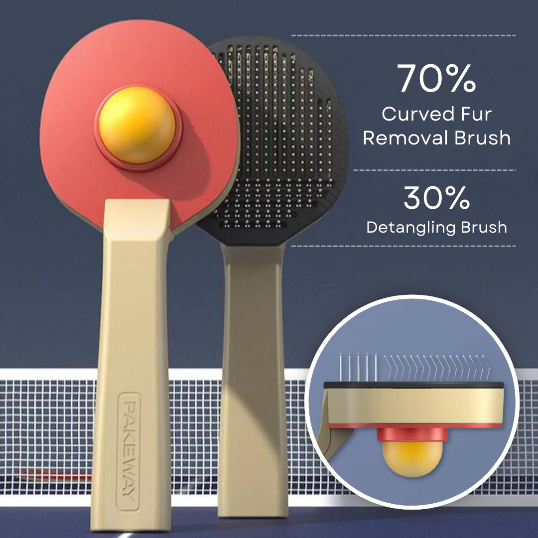 Ping Pong Brush
