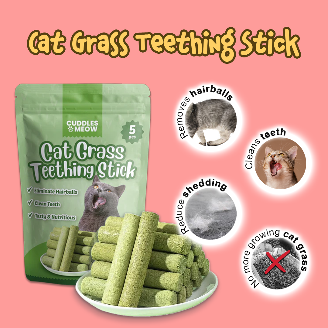 Treat Time Bundle