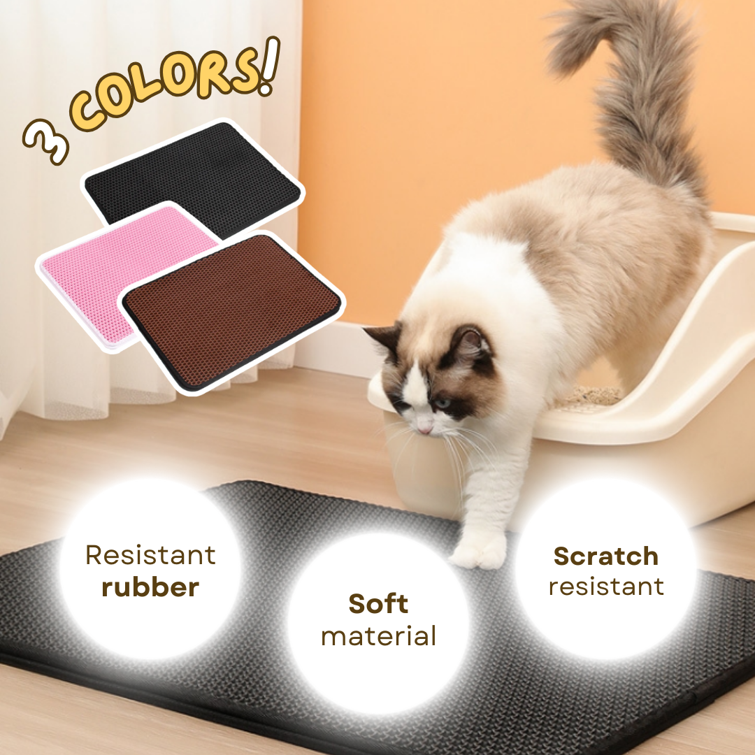 How to Get a Cat to Use a Litter Mat