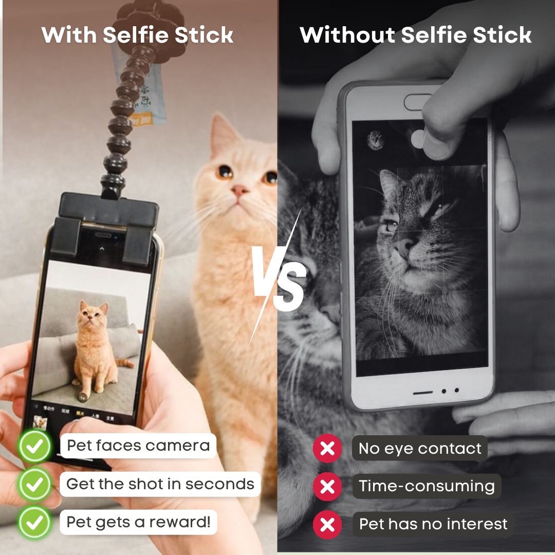 Snapcat Selfie Stick