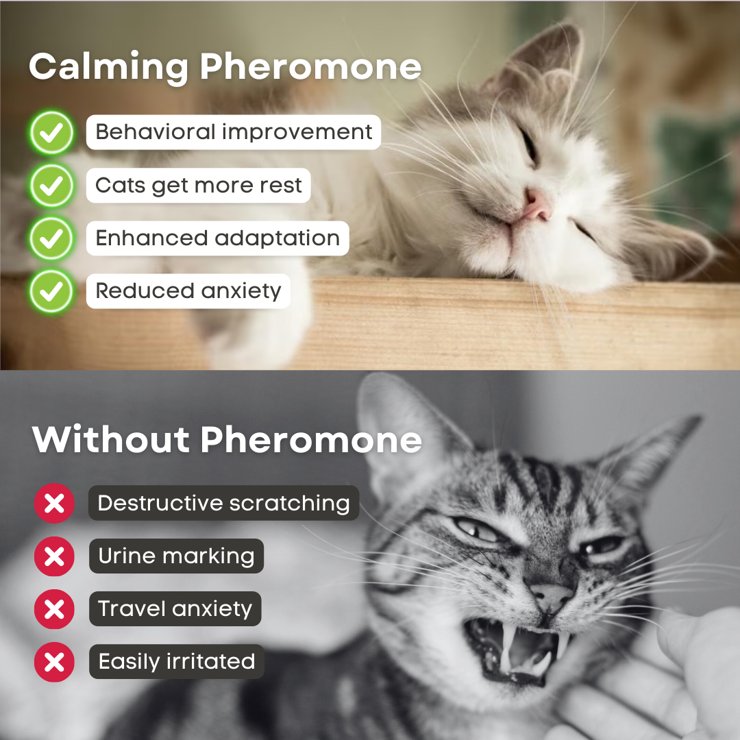 Cat Calming Pheromone