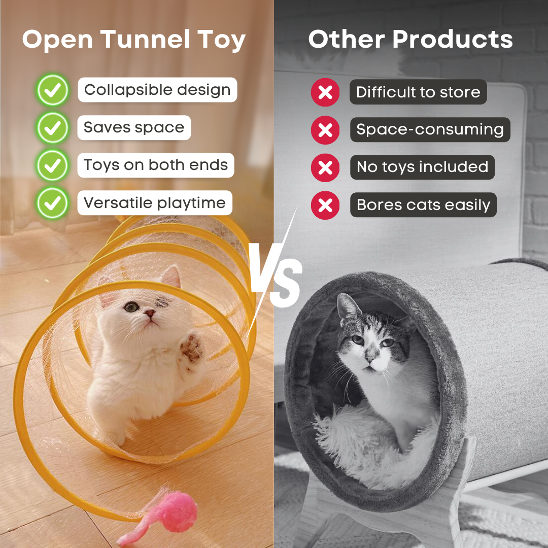 Open Tunnel Toy