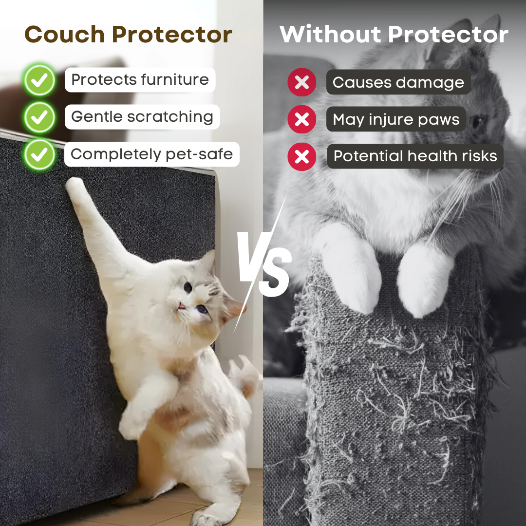 Couch Protector