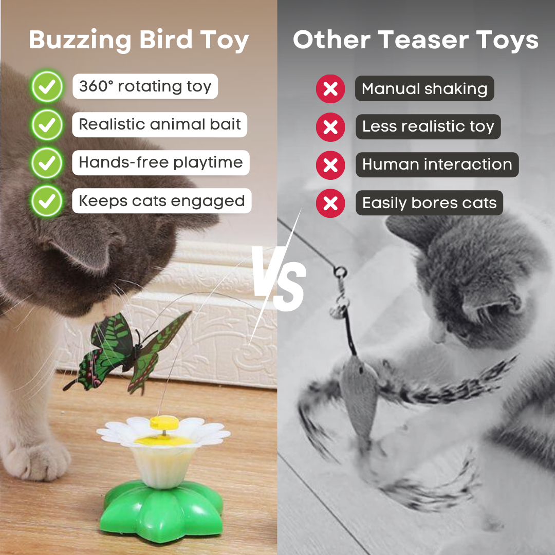 Buzzing Bird Toy