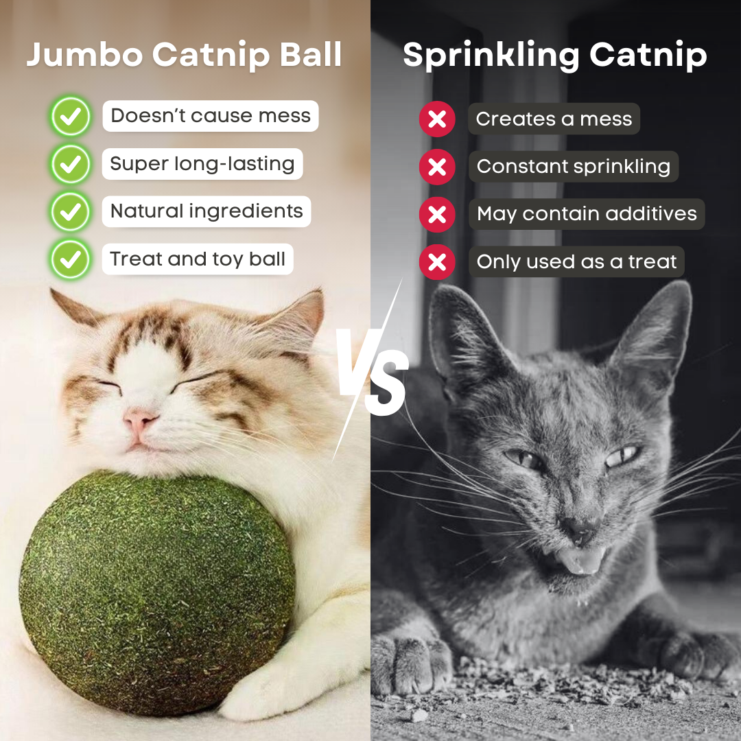 Jumbo Catnip Ball