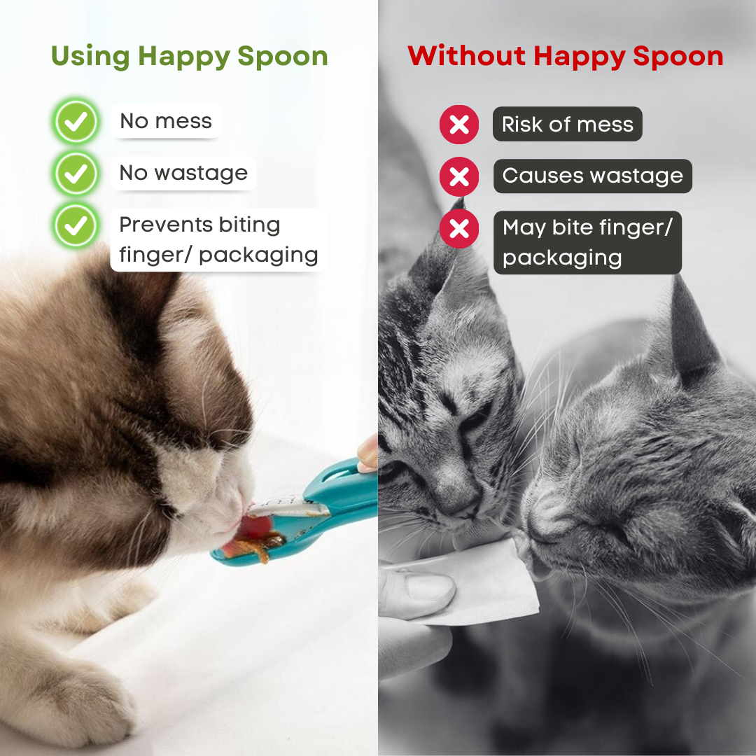 Happy Spoon