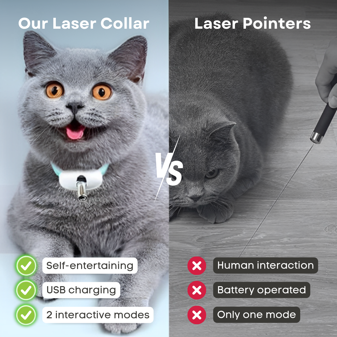 Cat Laser Collar