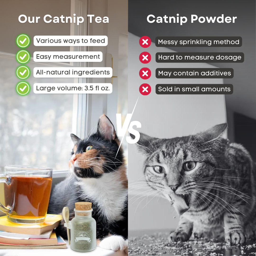 Catnip Tea