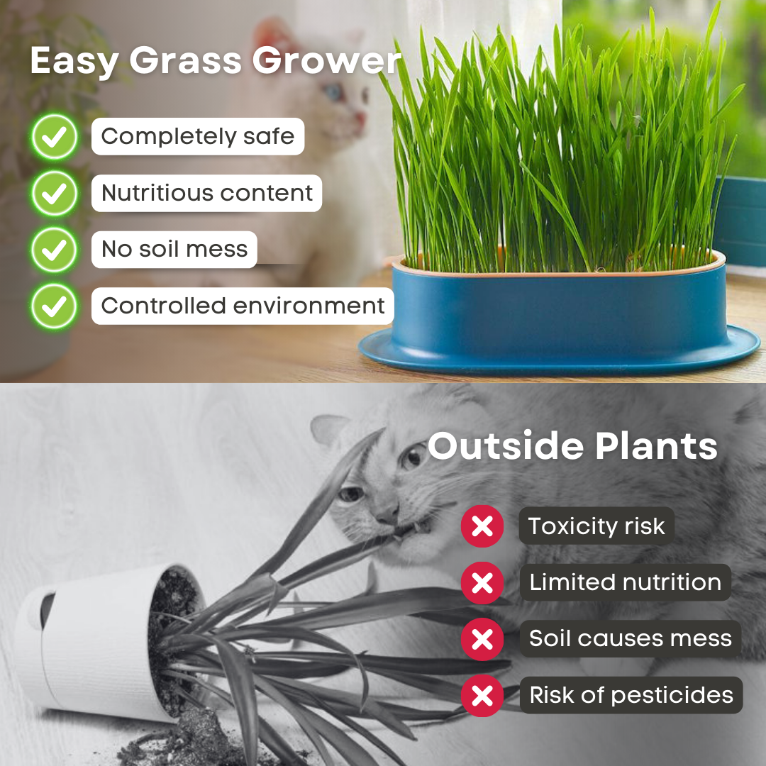 Easy Grass Grower