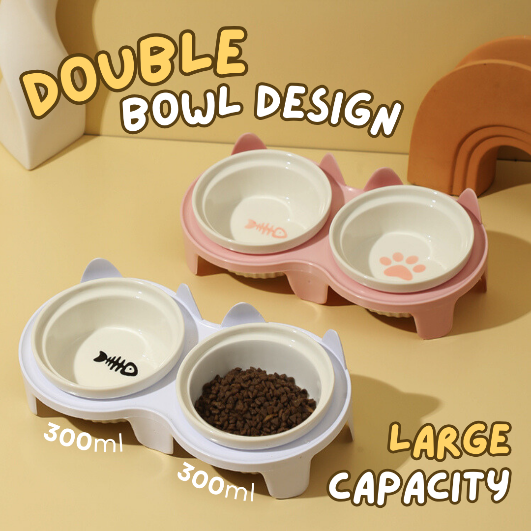 Gradient Color Elevated Cat Bowls - Zezelife