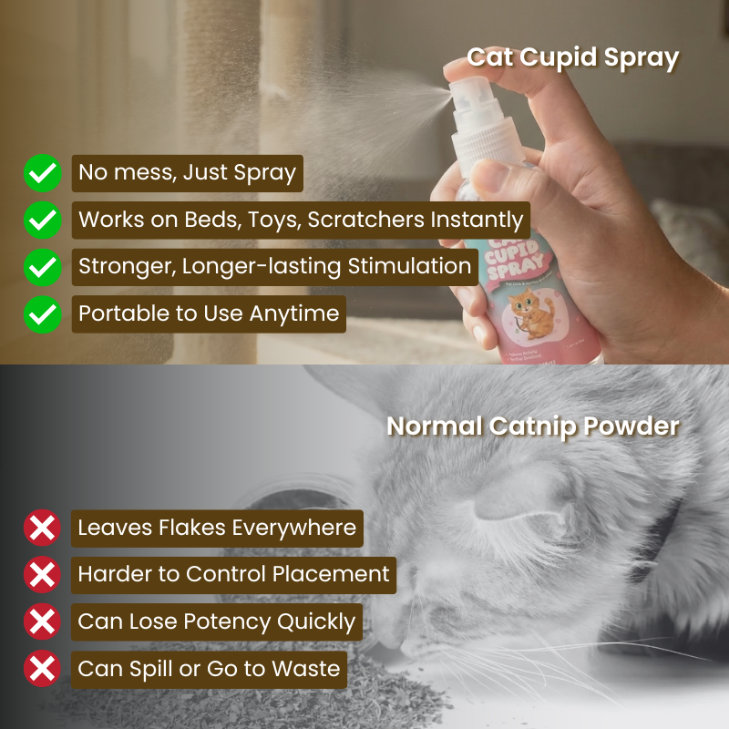Cat Cupid Spray