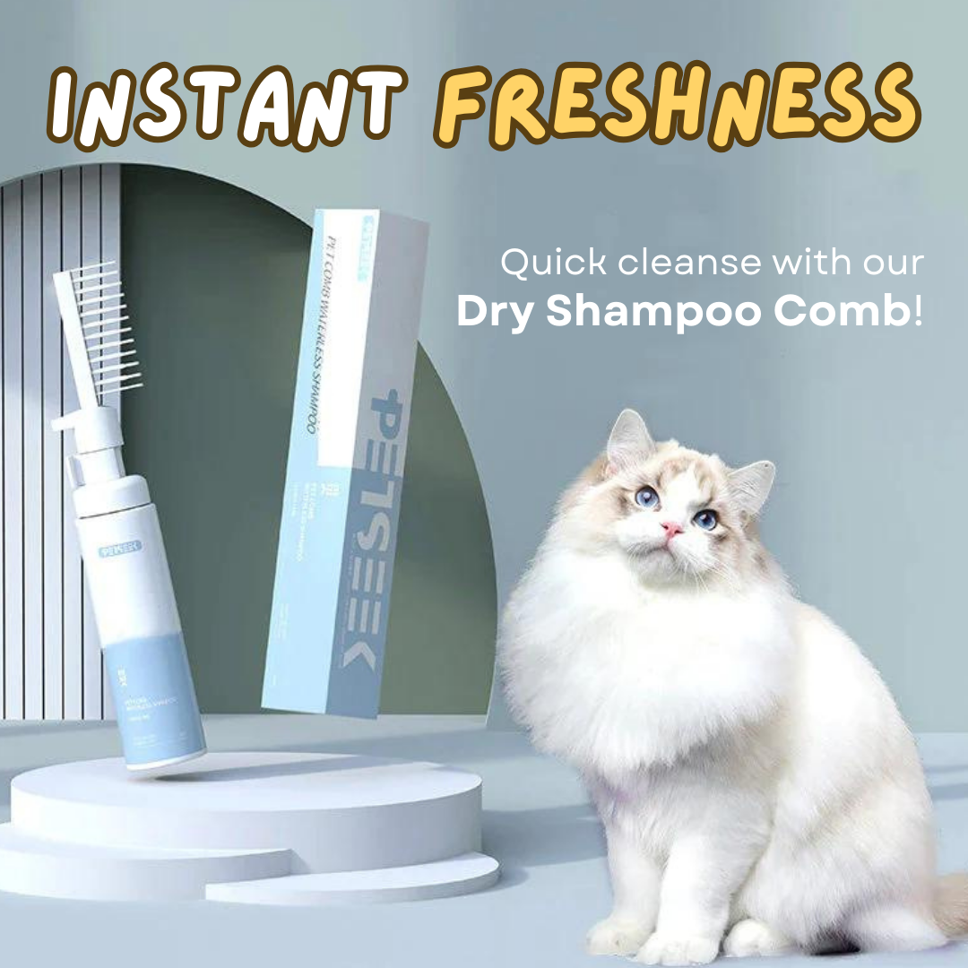 Dry Shampoo Comb