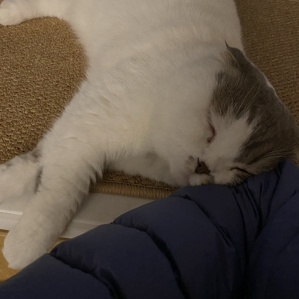 Creamy Fish Oil Pump CuddlesMeow