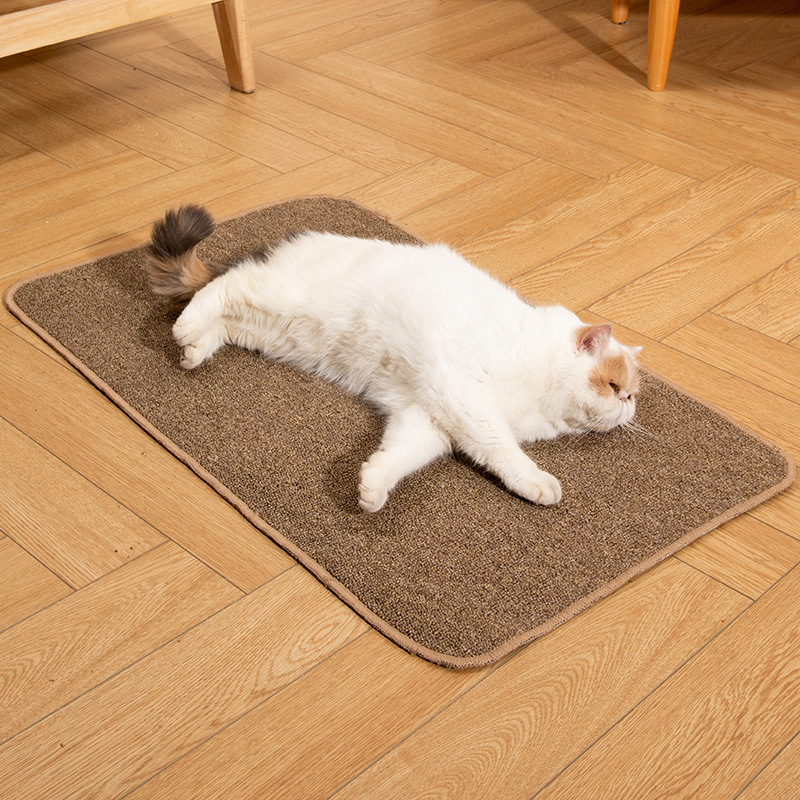 Carpet Scratching Pad