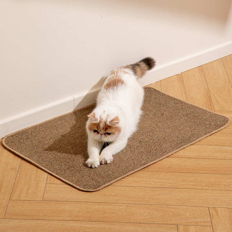 Carpet Scratching Pad