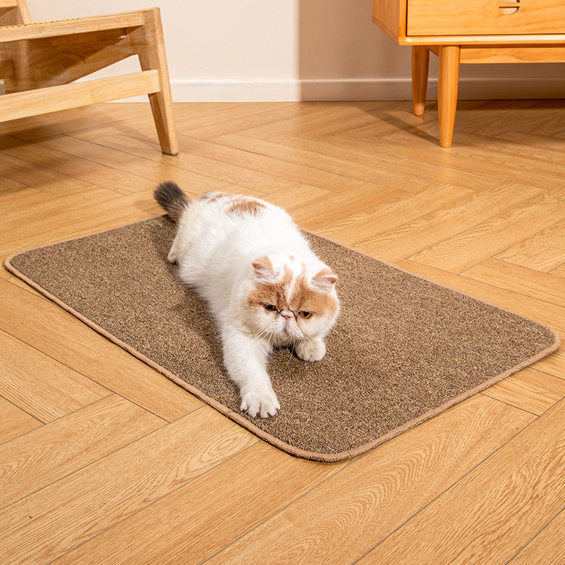 Carpet Scratching Pad