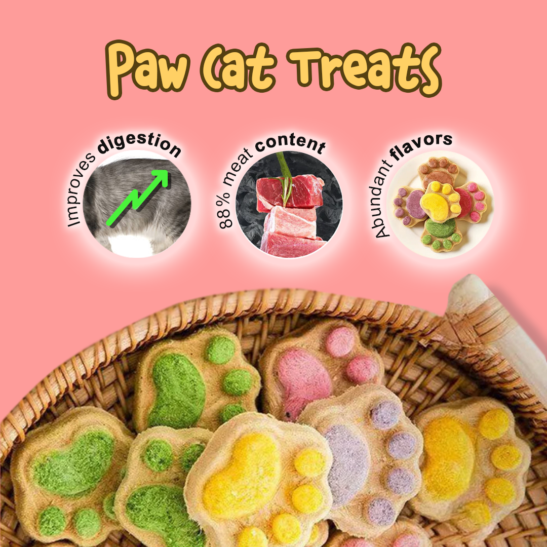 Treat Time Bundle